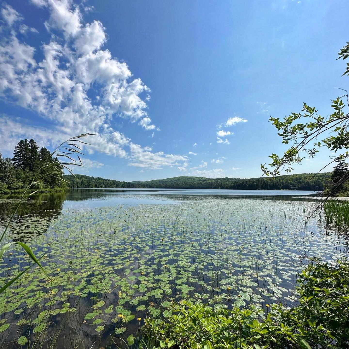 Auberge Du Lac Malcom Sayabec Exterior foto